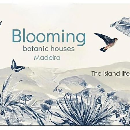 Blooming Botanic Houses Estreito Da Calheta Exterior foto