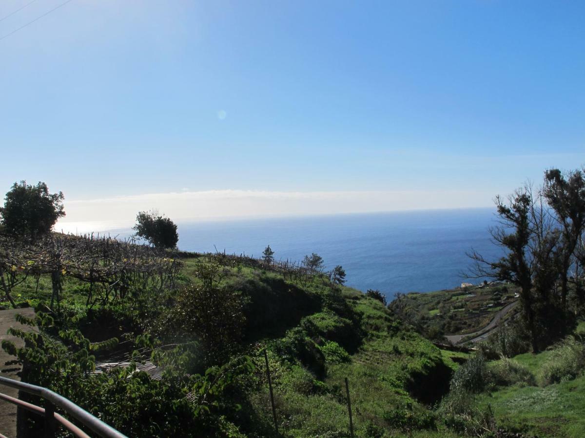 Blooming Botanic Houses Estreito Da Calheta Exterior foto