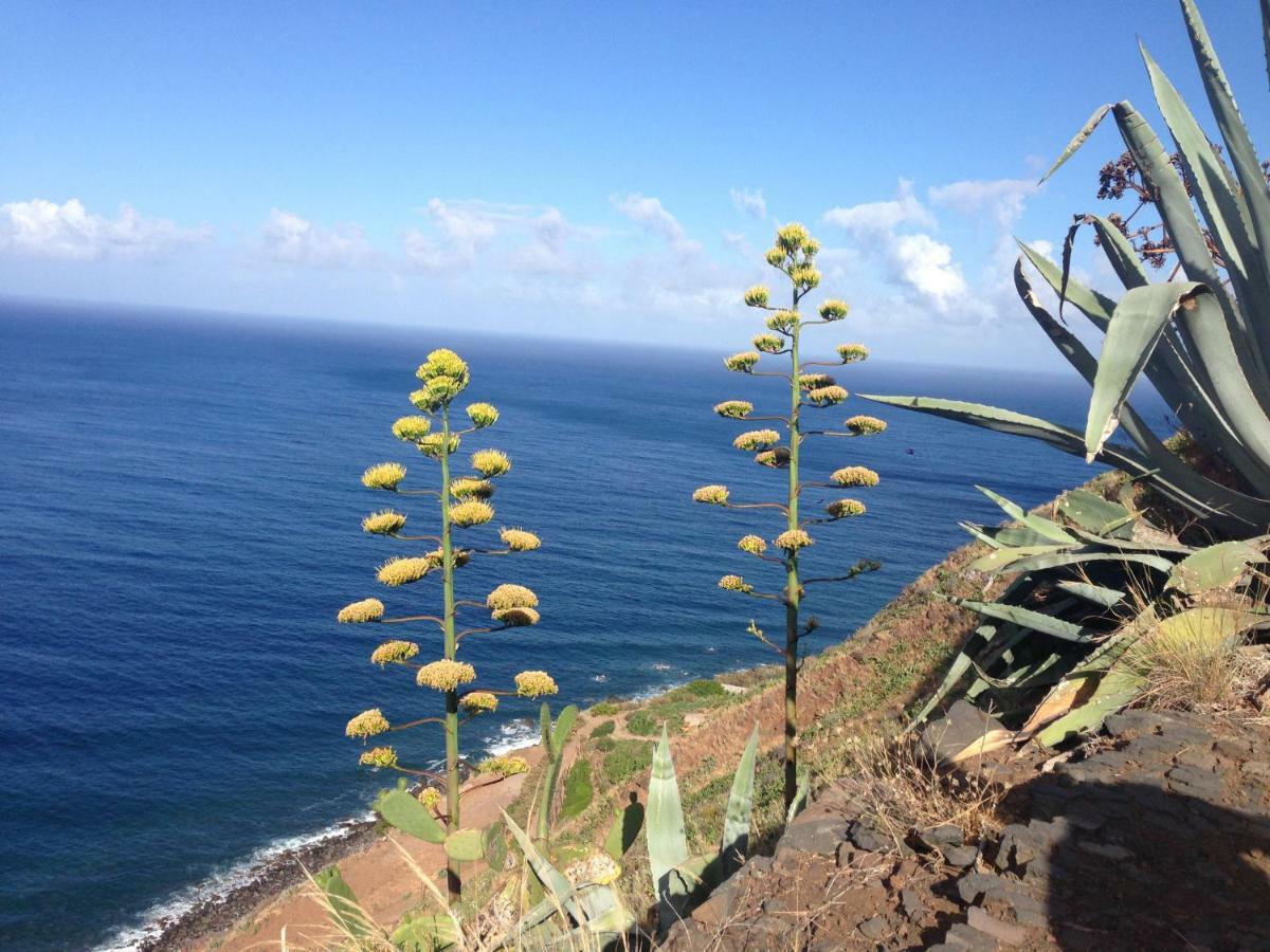 Blooming Botanic Houses Estreito Da Calheta Exterior foto