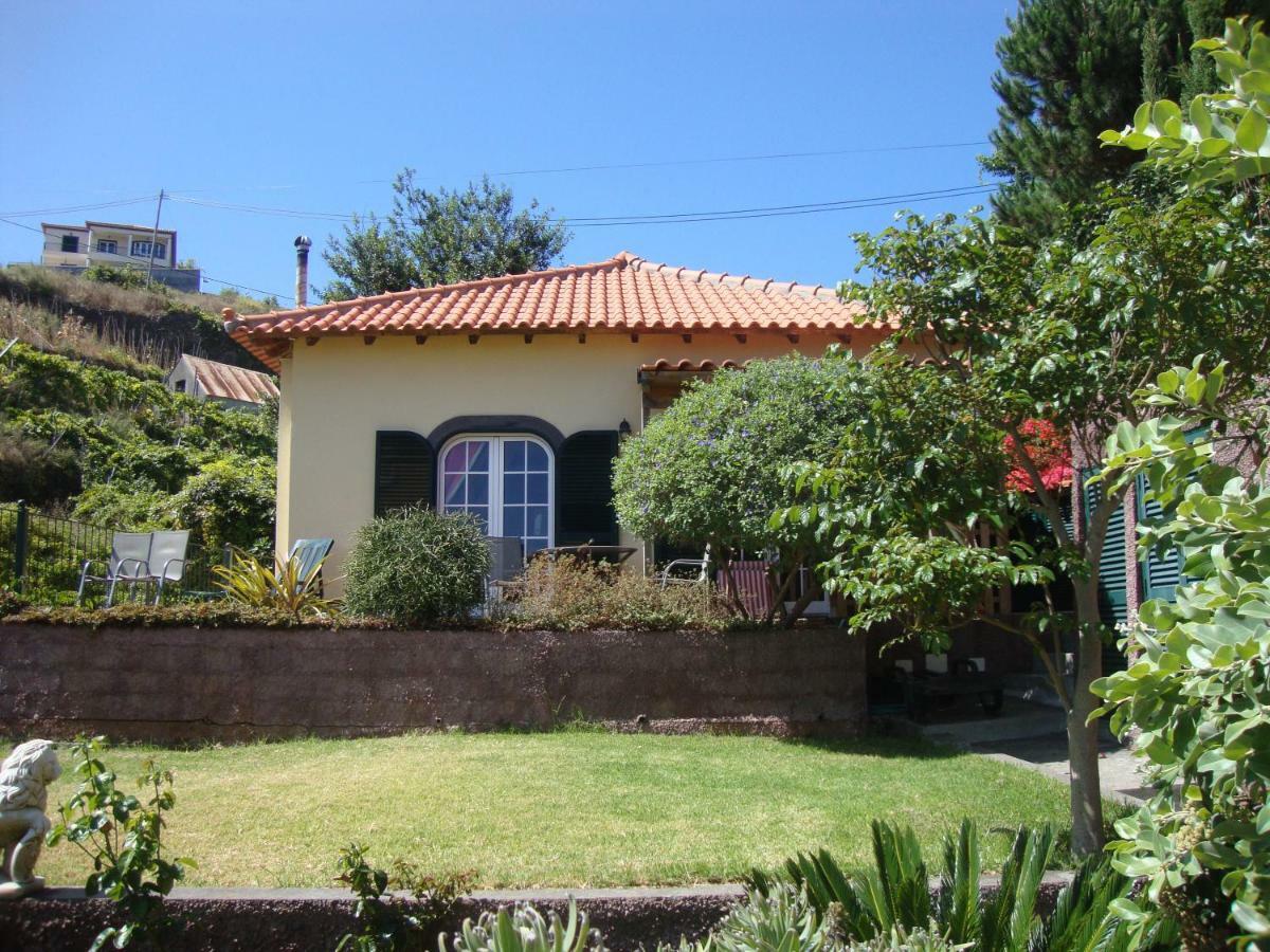 Blooming Botanic Houses Estreito Da Calheta Exterior foto