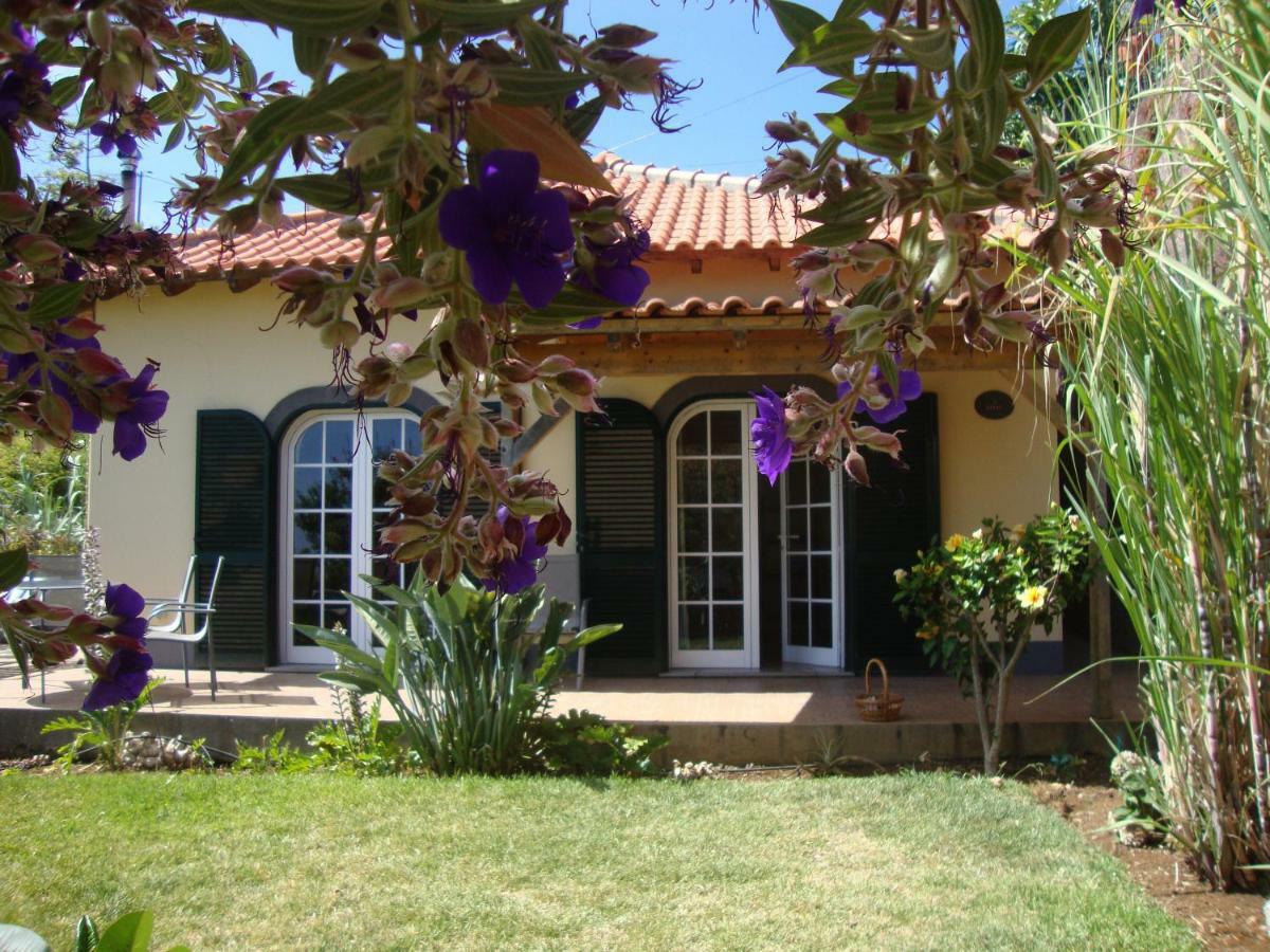Blooming Botanic Houses Estreito Da Calheta Exterior foto
